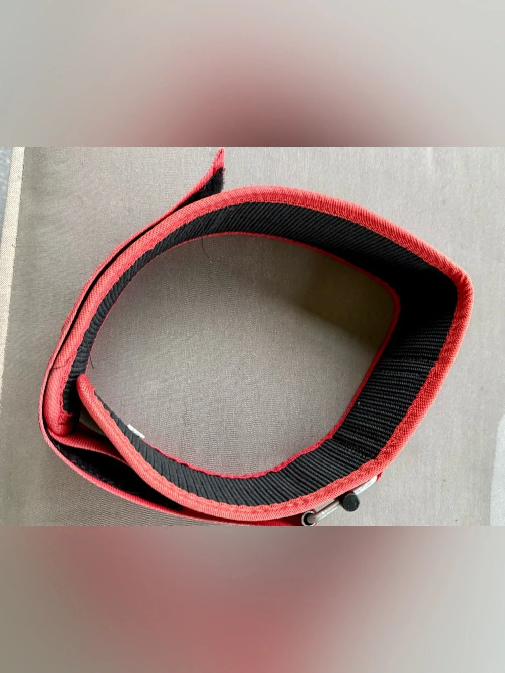 Element Girls Who Eat weightlifting belt Dani Speegle